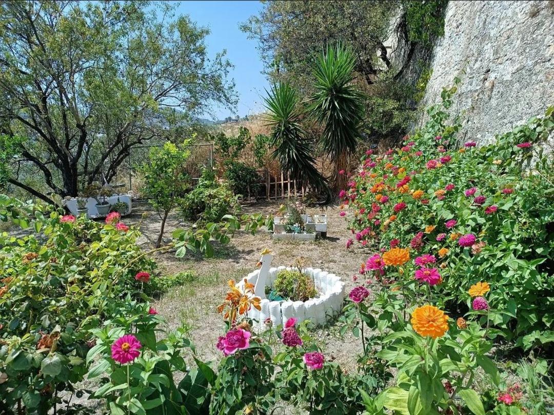 Mavrikou Helen Apartments Skyros Extérieur photo